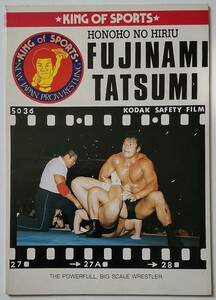 当時物★新日本プロレス『藤波辰巳/辰爾』ノート