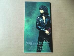 葛城哲哉 (ex.T.V./TV-WILDINGS)●8cm CDシングル[ Bird In The Rain ]●田口俊,西平彰,TMN サポートギタリスト