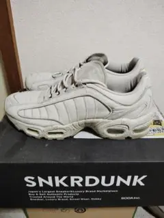 新品未使用 ナイキ NIKE AIR MAX TAILWIND Ⅳ 29cm