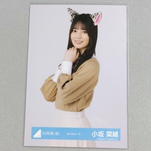 日向坂46 小坂菜緒 ねこみみコーデ 生写真