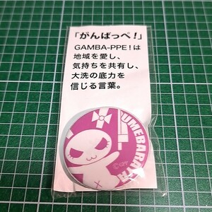 〓〓⑳②【1300円以上ご購入で送料無料!!】⑱⑨ウサギさんチーム【大洗町缶バッジ】【雑貨】ガールズ＆パンツァー