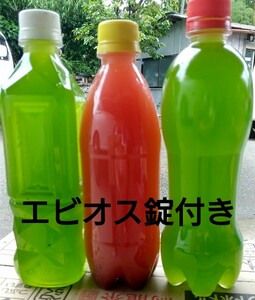 天然　グリーンウォーター(青水.種水)1000ml&　PSB(光合成細菌)500ml　&エビオス30錠　　　金魚　らんちゅう　