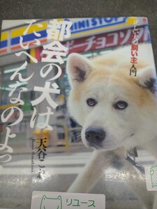 都会の犬はたいへんなのよっ！　正しい犬の飼い主入門 天谷これ／著　山と渓谷社　図書館廃棄本