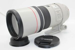 キヤノン CANON EF 300mm F4 L IS USM 望遠レンズ Lens #Z3938