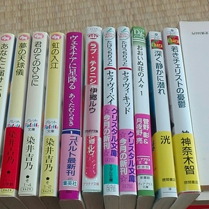 ★あさぎり夕　たけうちりうと　染井吉乃　佐藤ラカン　19冊セット　パレット文庫　色々