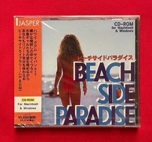 CD-ROM／Windows・Macintosh JASPER BEACH SIDE PARADISE ビーチサイドパラダイス JAH-07 当時モノ 希少　D1395