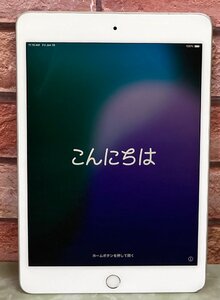 1円～ ●Apple iPad mini 第5世代 / Wi-Fi + Cellular / 256GB / シルバー / iOS 18.2.1 / 7.9型 (2048x1536) / バッテリー84% / MUXD2J/A