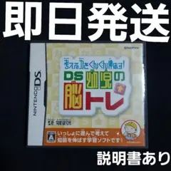 【匿名発送】 考える力をぐんぐん伸ばす!DS幼児の脳トレ DS ソフト