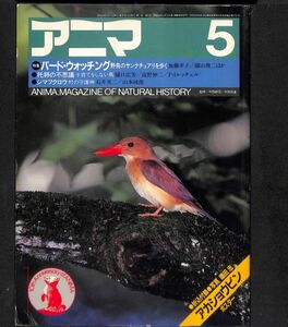 （月刊誌）　アニマ（野生からの声）　1983年5月（123号）　特集他：　バード・ウォッチング、托卵の不思議、シマフクロウ