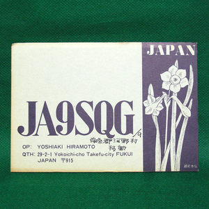 ◆レトロ交信証【越前水仙イラスト 厚紙ベリカート】福井県のアマチュア無線局/受信証明書 記入済QSLカード１枚 [c63]
