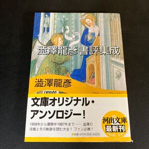 24-8-24『 澁澤龍彦書評集成 』河出文庫 　澁澤龍彦【送料165円～】