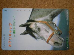 I430A・オグリキャップ 競馬 テレカ