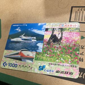 使用済み東武鉄道スペーシア100系中禅寺湖日光