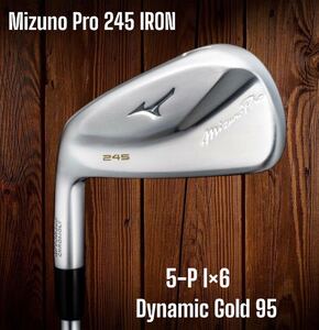 Mizuno Pro 245 アイアン 5-P 6本セット Dynamic Gold 95 左打ち レフティ