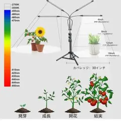 LED スタンド付き 植物育成ライト