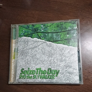 リョーザスカイウォーカー seize the Day シングル中古