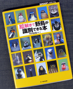 絵解きで野鳥が識別できる本｜鳥の名前 分類 見分け方 特徴 生態 カラー図鑑 バードウォッチング 野鳥観察#f