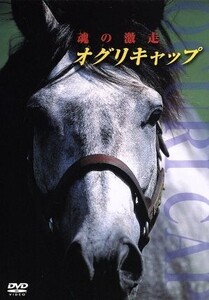 オグリキャップ 激闘の真実/(競馬)