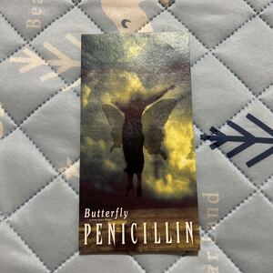 Butterfly／PENICILLIN