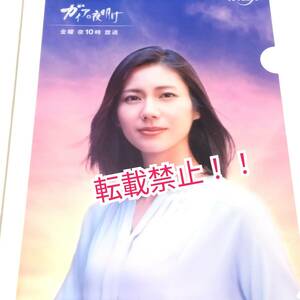 激レア☆未使用★松下奈緒★クリアファイル A4サイズ★ガイアの夜明け★当選品★顔アップ　カラー★非売品