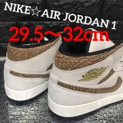 NIKE☆AIR JORDAN 1☆METALLIC GOLD☆29.5cm