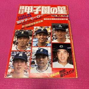 輝け甲子園の星 1983サマーヒーローPL2度目の優勝 桑田 日刊スポーツグラフ 第44号