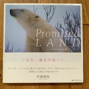 シロクマ くま 熊 北極グマ ホッキョクグマ 丹葉 暁弥 シロクマの約束 Promised LAND 