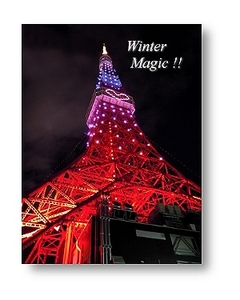 オリジナルフォトポストカード 2010/12/24 Xmas 東京タワー