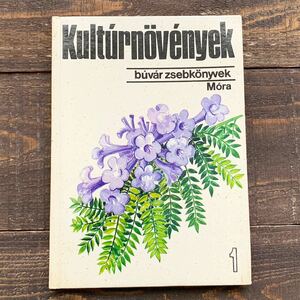 ハンガリーの古い植物図鑑(Kulturnovenyek 1976年)/アンティーク ヴィンテージ 植物画 果実 ボタニカルアート 花の絵 花のイラスト/