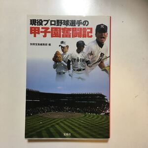 ☆本野球「現役プロ野球選手の甲子園奮闘記」別冊宝島高校野球 田中斉藤中田イチロー石井前田石川井端荒木