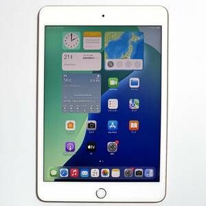 Apple iPad mini (第5世代) ローズゴールド 64GB 3F559J/A Wi-Fiモデル iOS18.1.1 バッテリー最大容量91％ アクティベーションロック解除済