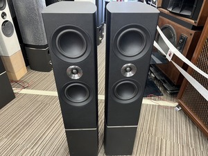 タンノイ TANNOY フロア型スピーカー ペア BK Platinum F6