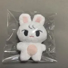 ドヨン　ぬいぐるみ　10cm 新品　マスター　nct