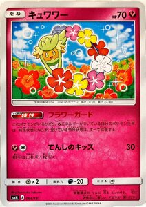 ポケモンカード フェアリー　キュワワー 094/131