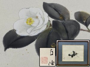 真作保証 佐藤古岫 椿図 水彩 約27.5×36cm 肉筆 額装 備後 骨董品 美術品 2458wqN