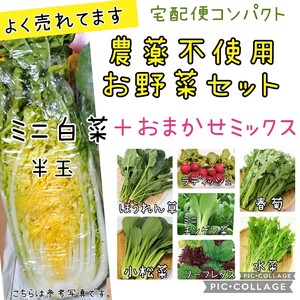 野菜セット　ミニ白菜ハーフ　＋おまかせミックス　農薬不使用