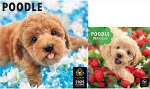 2024/9/7発売 プードル PICTWAN (ピクトワン) カレンダー DOG 【L版】【S版】セット 2025年カレンダー 25CL-50020L-50039S