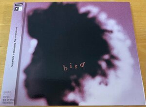 ◎bird ( 1st ) ※ 国内盤SAMPLE CD/ 初回2方背Sleeve Case/ 帯付【 SMEJ AICT-1083 】99/7/23発売/大沢伸一プロデュース/ [SOULS][空の瞳]