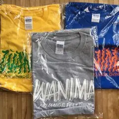 【新品】WANIMA ワニマ　ツアーTシャツ　バンドTシャツ　L ロゴ