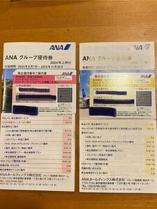 ANA 株主優待券　２枚　送料無料