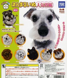 ◆まんまるどうぶつ・まんまるいぬ 人気者 編…4種 (北海道犬/シーズー/ミニチュアシュナウザー) イヌ/わんちゃん/わんこ/動物…フィギュア