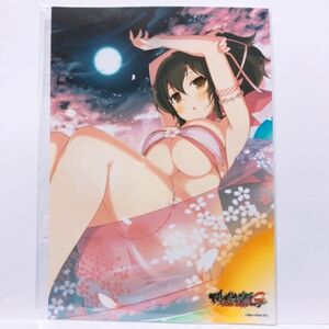 閃乱カグラ NewWave Gバースト 飛鳥 1 銀塩ブロマイド くじコレ 2L版サイズ