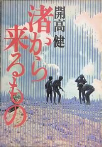 ★送料0円★ 渚から来るもの 開高健 1980年初版 角川書店　ZA241211S1