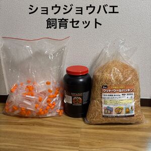 ショウジョウバエ飼育セット レパシー スーパーフライ トリニドショウジョウバエ キイロショウジョウバエ 培地 パッキン バイアル管 試験管