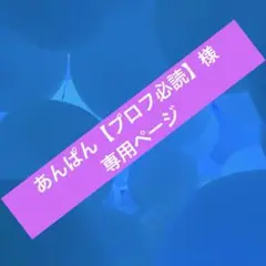 あんぱん【プロフ必読】様専用ページ