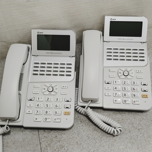 3k4099h2f 計2点 電話機 NTT スマートネットコミュニティαZX ＺＸ-「24」キー 標準スター電話機 IPTEL「１」「Ｗ」2021年製 電話機のみ