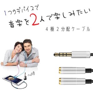 オーディオ 分配 ケーブル 3.5mm ジャック ステレオ オス - メス ×2 シルバー 35cm 4極 2分配ケーブル 変換ケーブル アダプタ イヤホン