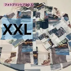 タグ付き★ フォトプリントシャツ レディース ブラウス トップス 長袖 XXL