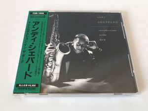 美品 見本盤 アンディ・シェパード ANDY SHEPPARD イントロダクション・イン・ザ・ダーク INTRODUCTIONS IN THE DARK