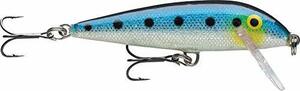 Rapala(ラパラ) ミノー カウントダウン ジャパンスペシャルカラー 7cm 8g イワシ FSRD CD7/J ルアー